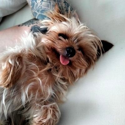 peter richardson🇬🇧