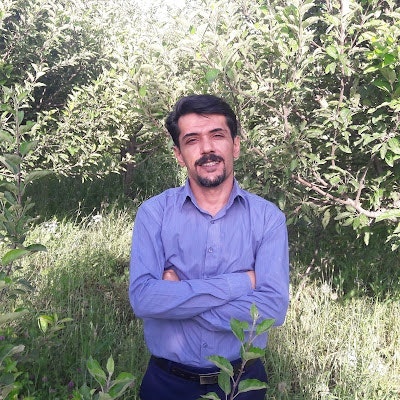 Vahid muhemedi