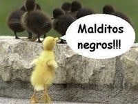 Roberto Fernández Gondar