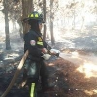 Carola Constaza Fuentes