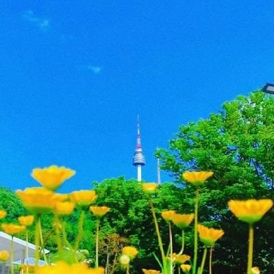 FREETAG Bismillah Bigwin