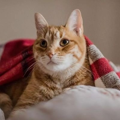 🌈JanuariBigWin2022🐳