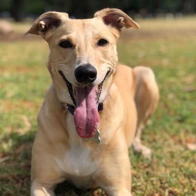 🍀 EmpyKatroN 🍀 🤞🤞