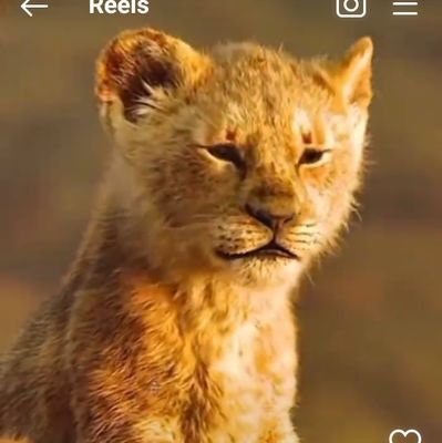 🍀❤RIRIE❤free_tag🍀