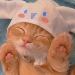 ᶜʰⁱⁿ (*・～・*)