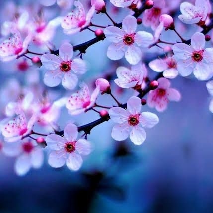 시창 이십이2️⃣2️⃣