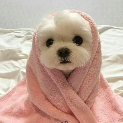 Yuheyning//Limit😭