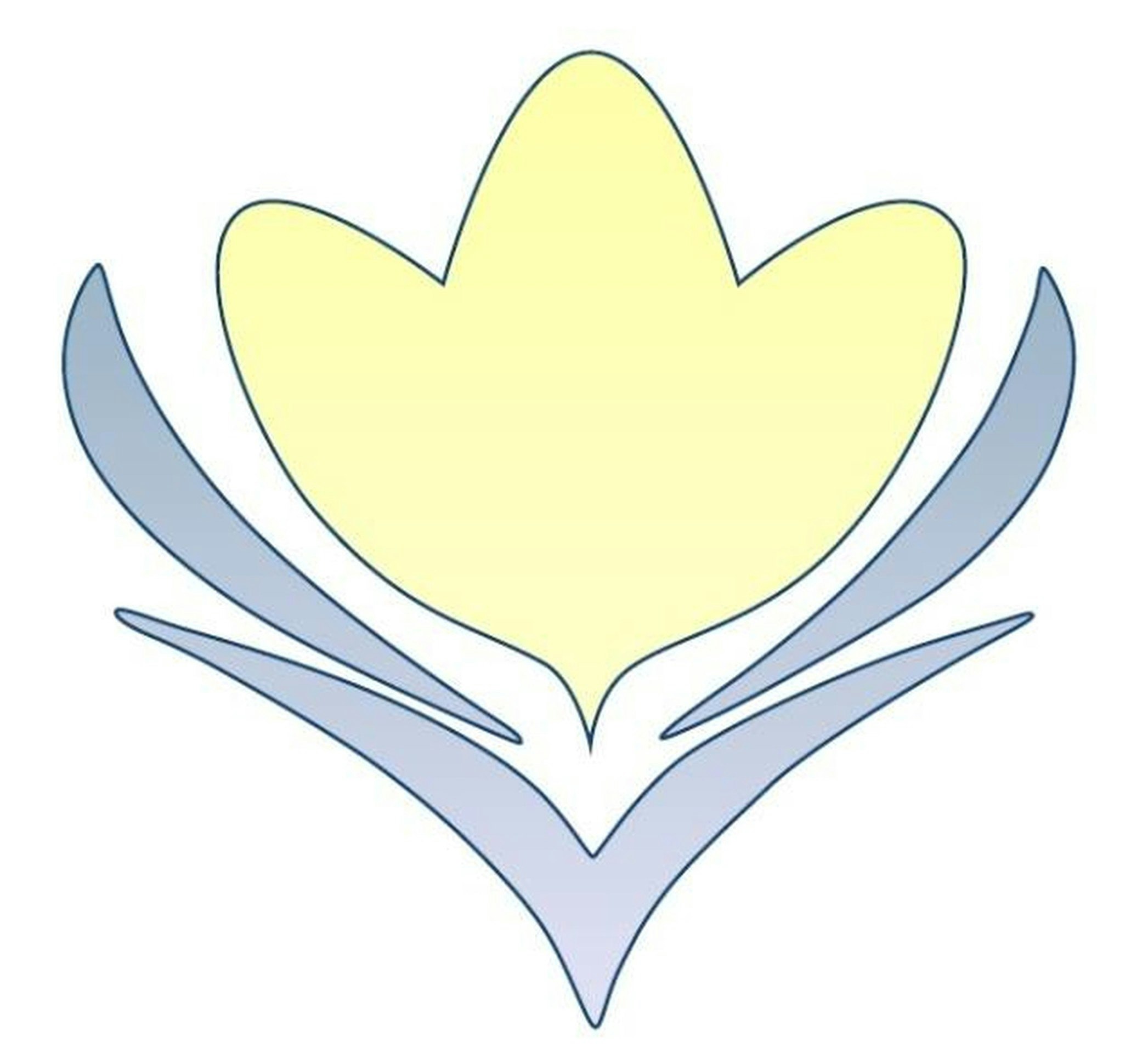 orchid english