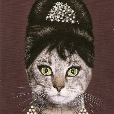 Lys...BN 6️⃣5️⃣🎹