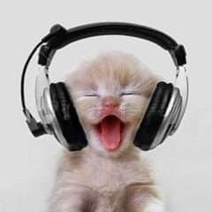 ⭐⭕Buntelan Sempak2022⭕⭐