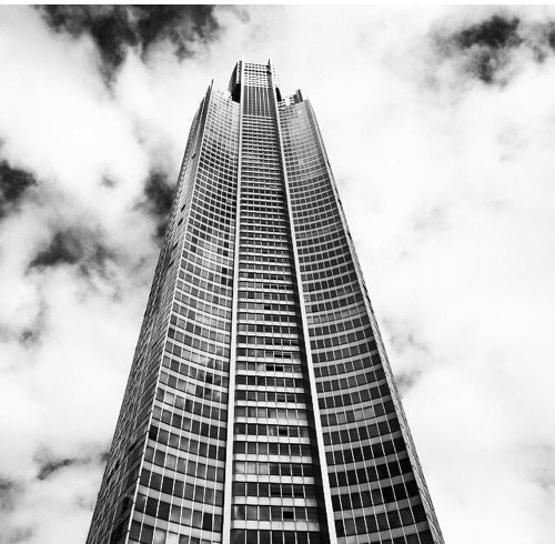 شادن الراشد