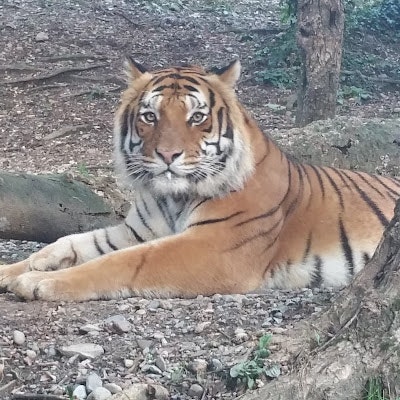 Abulhassan Elhaggagy