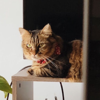 ProductHunt profile picture for @feb