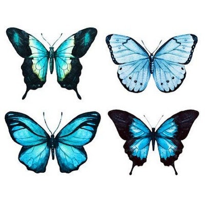 Nằm mơ thấy bướm