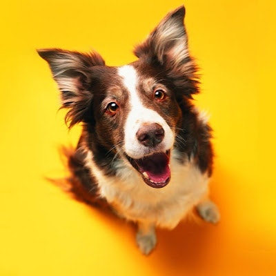 ProductHunt profile picture for @summers