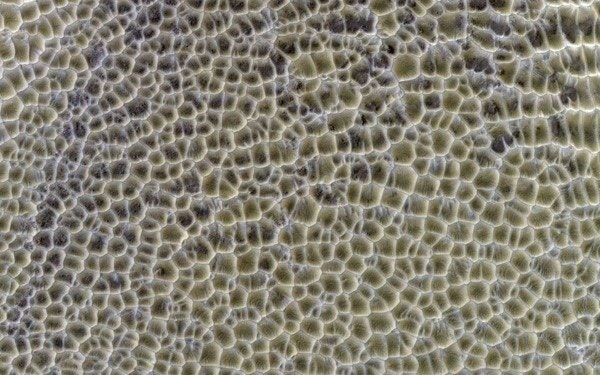 ≡(っ✪✗✪）▓█▇▅