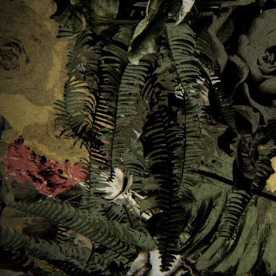 Дмитрий Колмаков