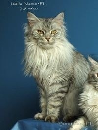 Magdalena Materkowska