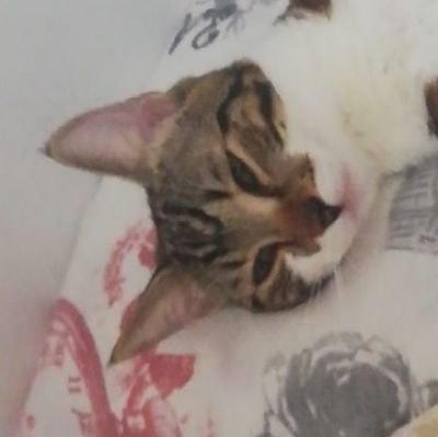 Hayata coinleri izlemeye gelmisiz