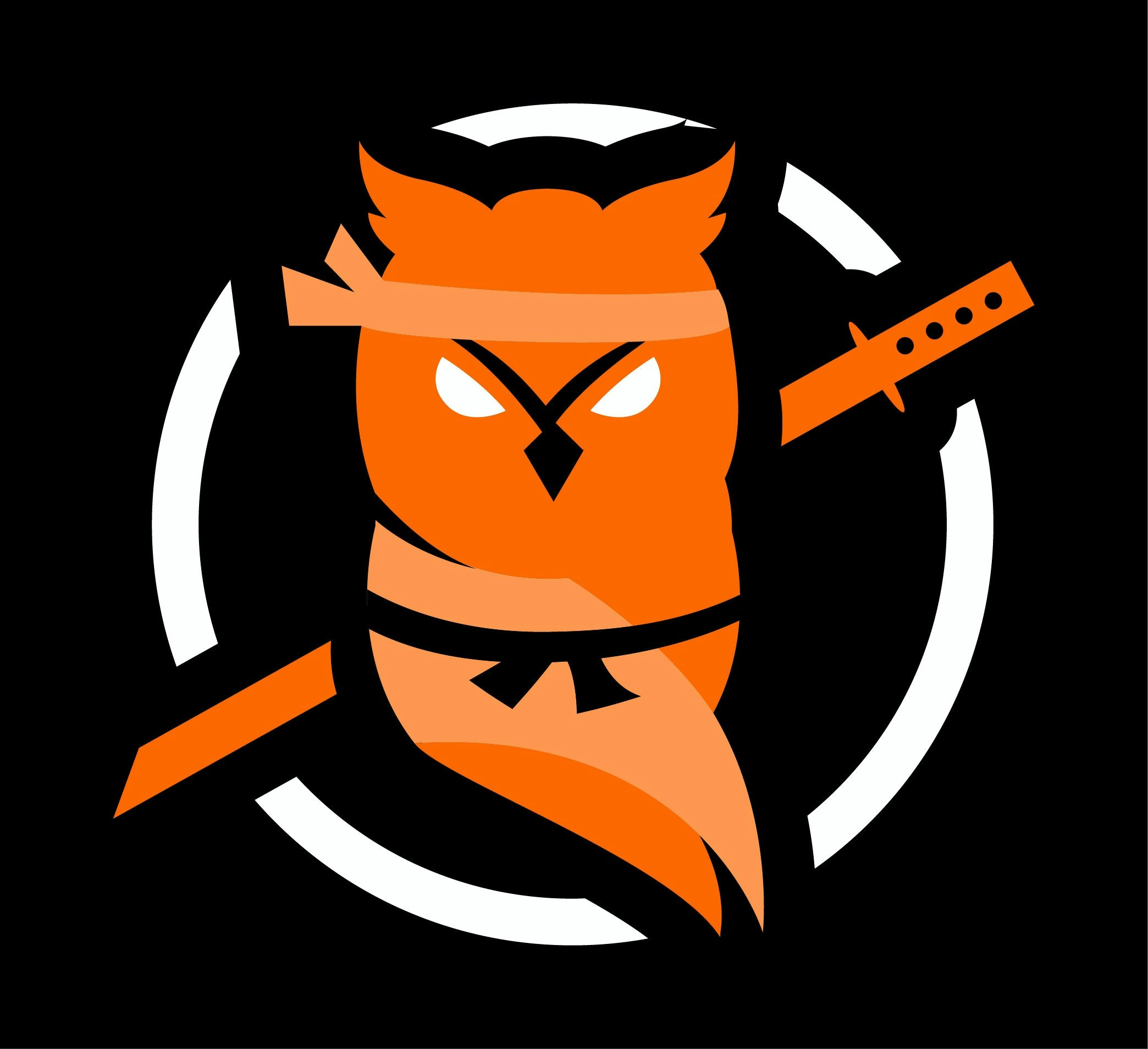 Ninja Owl