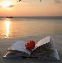 M Teresa Civera Cholbi