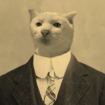 new_user_048fe08fb57b6