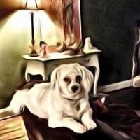 Andrea Woodruff Vest