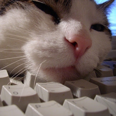 ProductHunt profile picture for @xvi