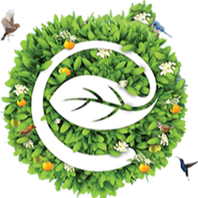 Biệt thự Ecopark