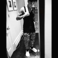 Sándor Puncimágnes Bíbőr