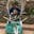 Harshit Agarwal