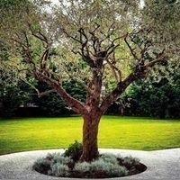 Mario Massimo Mazzardo