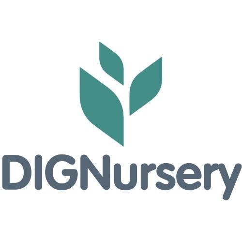dignursery