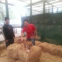 Christian Rojas Parodi