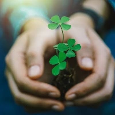 Mr.Lucky 🌟🌠🍀🤞