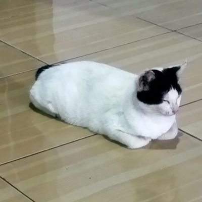 Zahra Andini👸🧚‍♀️🌟