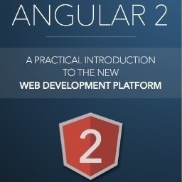 Angular 2 Book