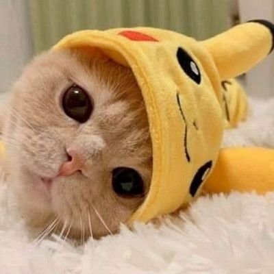 Call me “Vhi”🍀