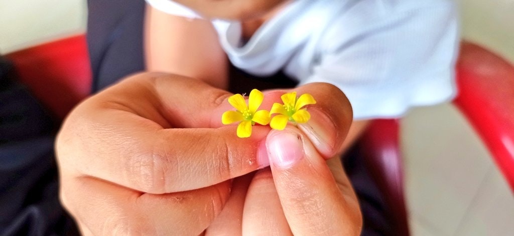 𝙬𝙚𝙣𝙣 🌟 