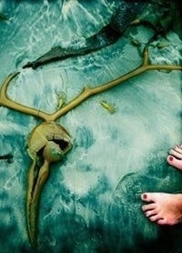 Rachel Marian Heaton