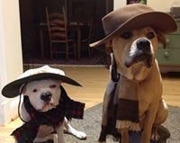 Kathryn Freeman Vita