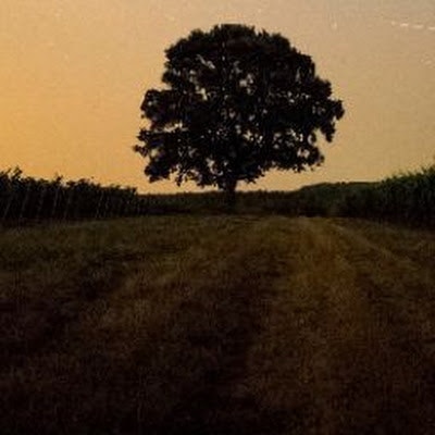 طاهر مسروحي