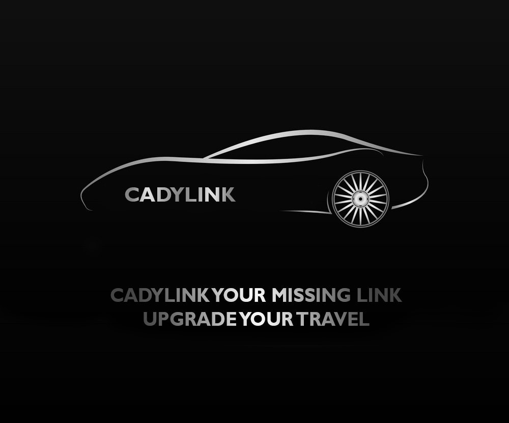 Professional Chauffeured Service NYC