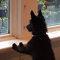 Susan Dyson Harkleroad