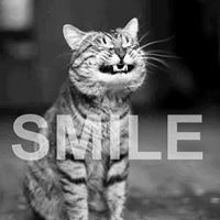 Holli Celeste Middleton