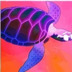 cool as h*ck turtle