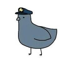 Pigeon Cop