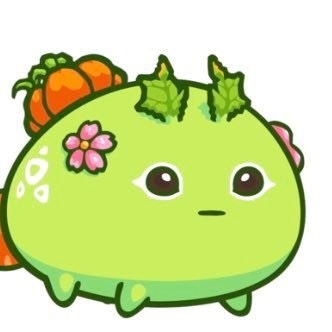 あず@タグ付けOKです