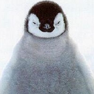 おいちょ🐧｜crypto