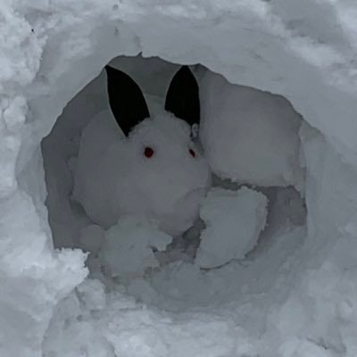 enigo/爆損養分イナゴ